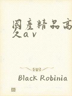 国产精品高潮久久a v