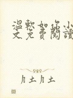 温软如你小说全文免费阅读封面