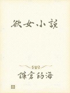 欲女小说封面