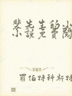 裴先生的小甜妻小说免费阅读封面