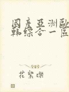 国产亚洲欧美日韩综合一区