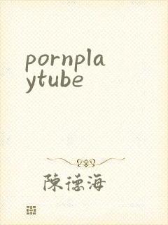 pornplaytube封面