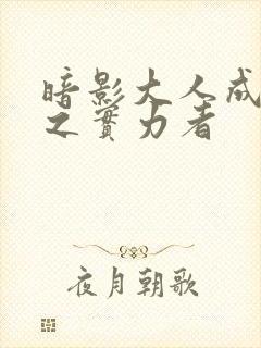 暗影大人成为影之实力者