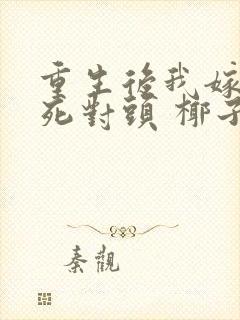 重生后我嫁给了死对头 椰子絮