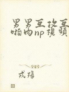 男男互攻互受h啪肉np视频