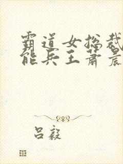 霸道女总裁的全能兵王萧晨