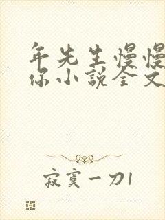 年先生慢慢喜欢你小说全文免费阅读