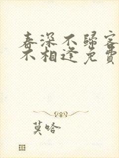 春深不归客清梦不相逢免费阅读全文