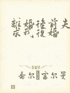 离婚后前夫哭着求我复婚