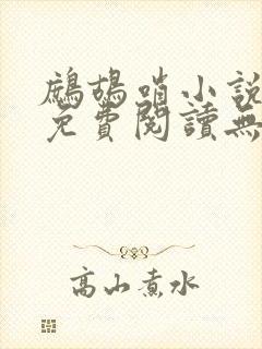 鹧鸪哨小说网站免费阅读无弹窗