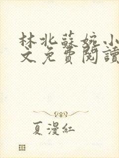 林北苏婉小说全文免费阅读最新章节