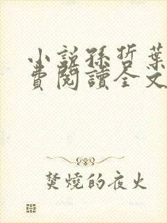 小说孙哲叶巧免费阅读全文