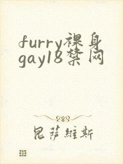 furry裸身gay18禁网封面