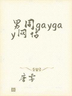 男同gaygay网站封面