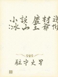 小说 废材逆袭:冰山王爷倾城妃