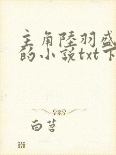 主角陆羽盛凌云的小说txt下载