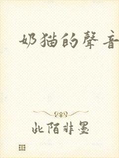 奶猫的声音封面