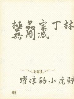 极品家丁林晚荣无删减封面