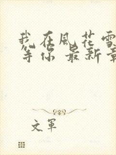 我在风花雪月里等你 最新章节封面