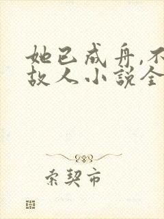 她已成舟,不渡故人小说全文封面