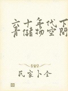 六十年代下乡知青储物空间封面