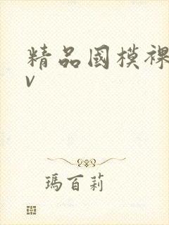 精品国模裸体av