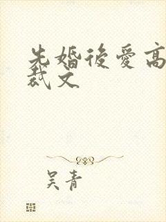 先婚后爱高甜总裁文