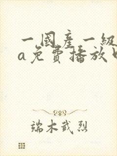 一国产一级淫片a免费播放口