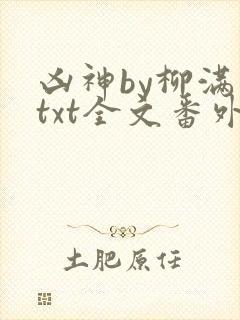 凶神by柳满坡txt全文番外