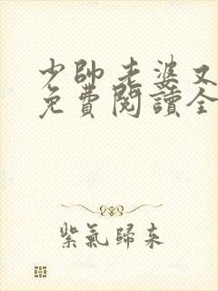 少帅老婆又跑了免费阅读全文