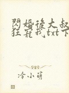 闪婚后大叔每天狂宠我txt下载