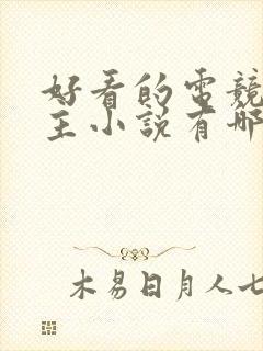 好看的电竞双男主小说有哪些封面