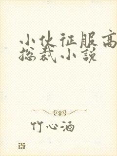 小伙征服高冷女总裁小说