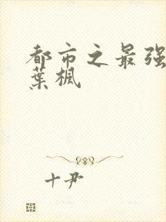 都市之最强仙尊叶枫