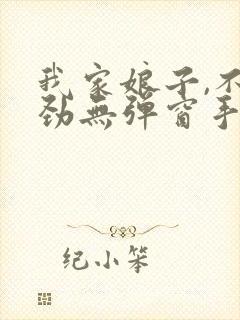 我家娘子,不对劲无弹窗手机版封面