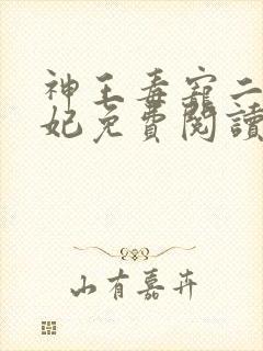神王毒宠二嫁王妃免费阅读全文