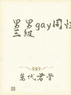 男男gay同性三级