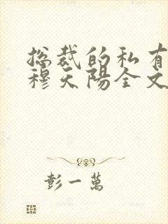 总裁的私有宝贝穆天阳全文阅读免费