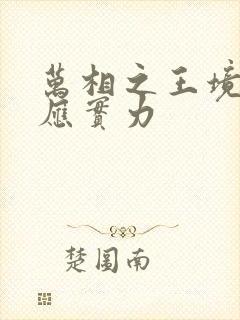 万相之王境界对应实力