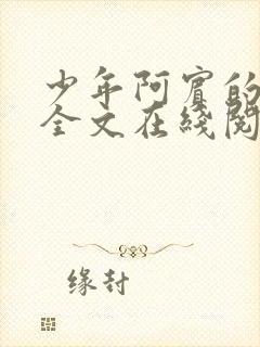 少年阿宾的故事全文在线阅读免费