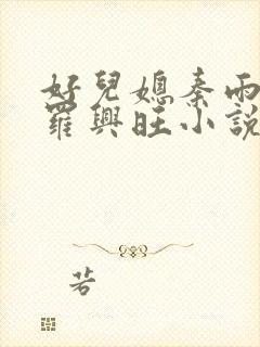 好儿媳秦雨罗明罗兴旺小说