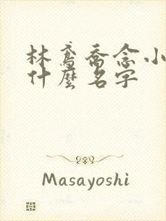 林鸢乔念小说叫什么名字