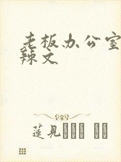 老板办公室系列辣文封面