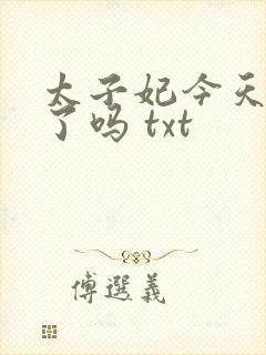太子妃今天揍人了吗 txt