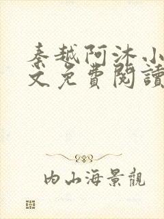 秦越阿沐小说全文免费阅读