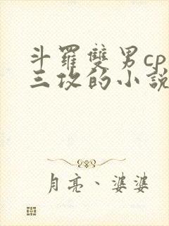 斗罗双男cp唐三攻的小说封面