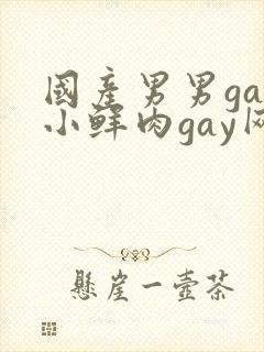 国产男男gay小鲜肉gay网站亚洲