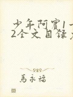 少年阿宾1一72全文目录免费下载