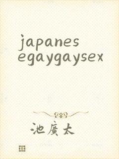 japanesegaygaysex封面