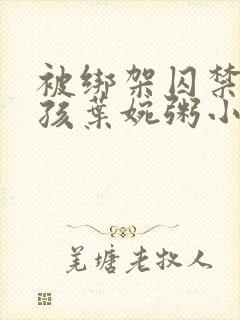 被绑架囚禁的女孩叶婉粥小说免费阅读封面